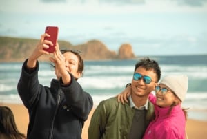 Da Melbourne: Tour ecologico della parata dei pinguini di Phillip Island