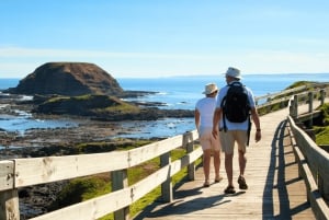 Da Melbourne: Tour ecologico della parata dei pinguini di Phillip Island