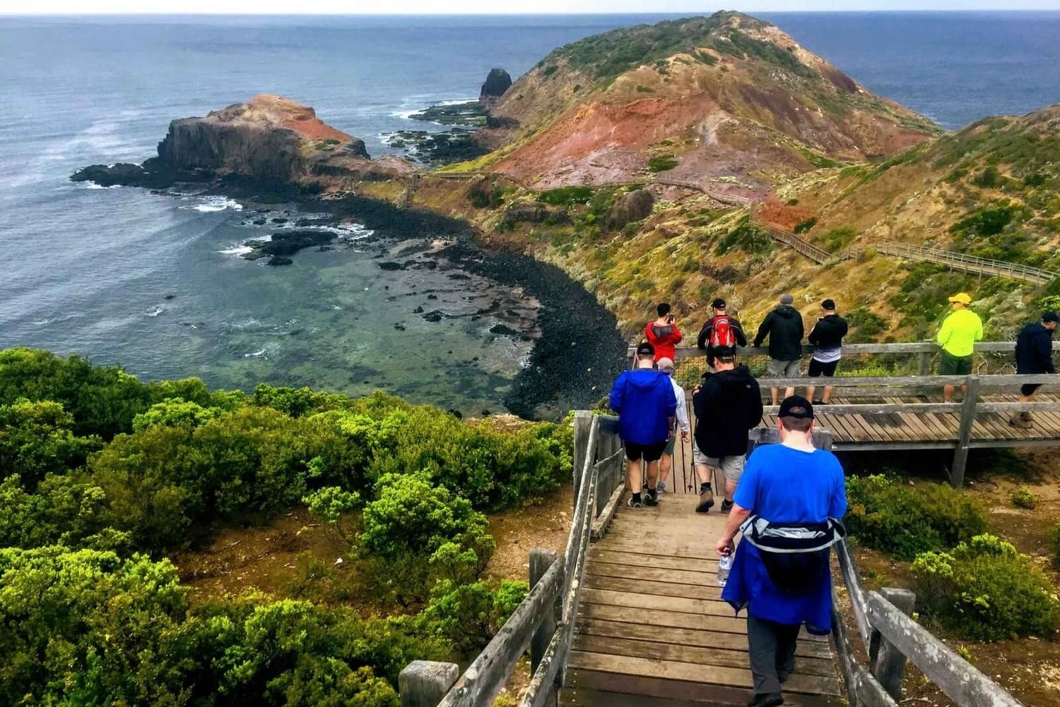 Au départ de Melbourne : Visite privée de la parade des pingouins de Phillip Island