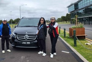 Au départ de Melbourne : Visite privée de la parade des pingouins de Phillip Island