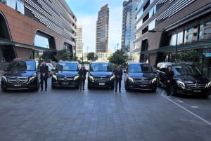 Au départ de Melbourne : Visite privée de la parade des pingouins de Phillip Island