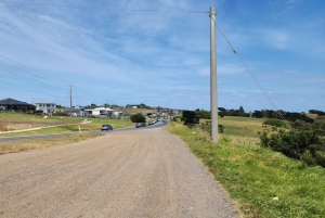 Au départ de Melbourne : Visite privée de la parade des pingouins de Phillip Island