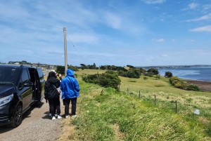 Au départ de Melbourne : Visite privée de la parade des pingouins de Phillip Island