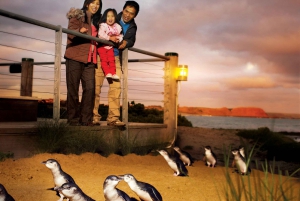 From Melbourne: Phillip Island and Penguin Parade Day Tour