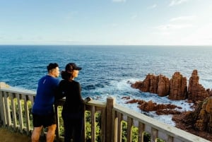 Desde Melbourne: Phillip Island Penguin Plus - Tribuna