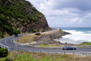 Desde Melbourne: Tour privado por la Great Ocean Road con servicio de recogida