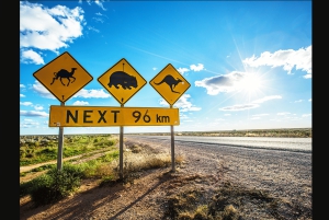 Desde Melbourne: Tour privado por la Great Ocean Road con servicio de recogida