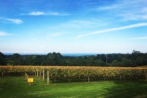From Melbourne: Private Yarra Valley Winery Tour with Lunch