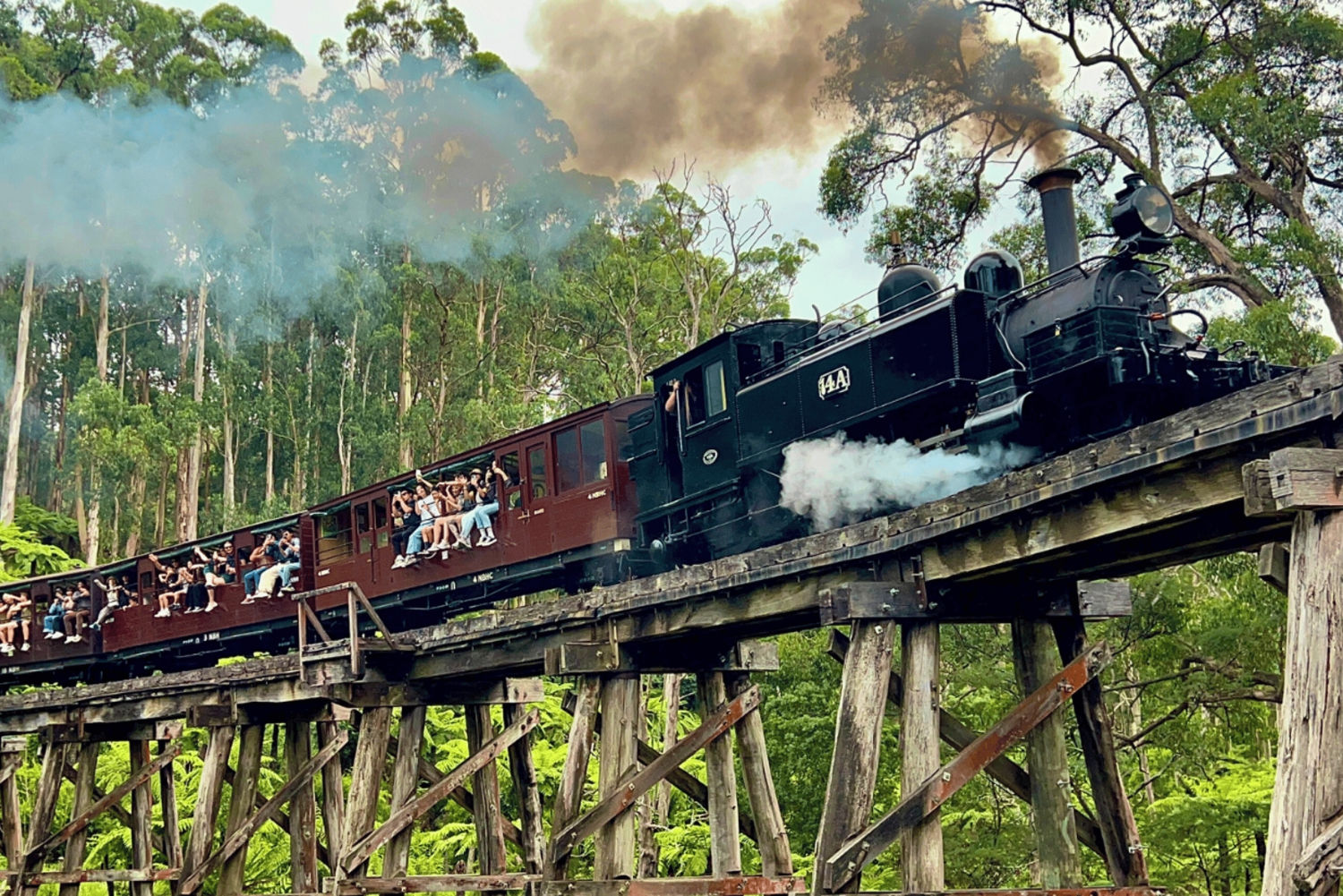 From Melbourne: Puffing Billy & Penguins Combo Tour Package