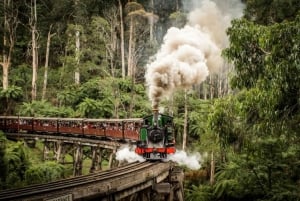 From Melbourne: Puffing Billy & Penguins Combo Tour Package