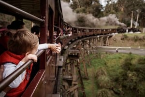 From Melbourne: Puffing Billy & Penguins Combo Tour Package