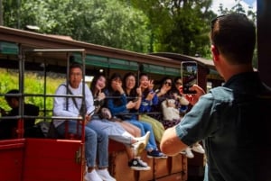 From Melbourne: Puffing Billy & Penguins Combo Tour Package