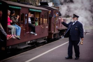 From Melbourne: Puffing Billy & Penguins Combo Tour Package