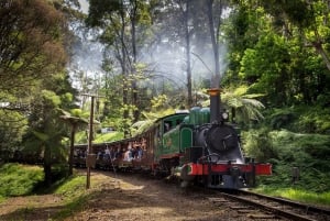 From Melbourne: Puffing Billy & Penguins Combo Tour Package