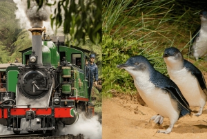 From Melbourne: Puffing Billy & Penguins Combo Tour Package