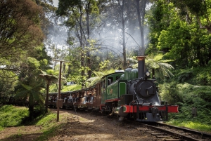 From Melbourne: Puffing Billy & Penguins Combo Tour Package