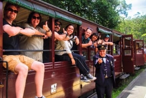 From Melbourne: Puffing Billy & Penguins Combo Tour Package