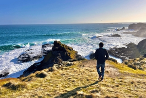 From Melbourne: Puffing Billy & Penguins Combo Tour Package