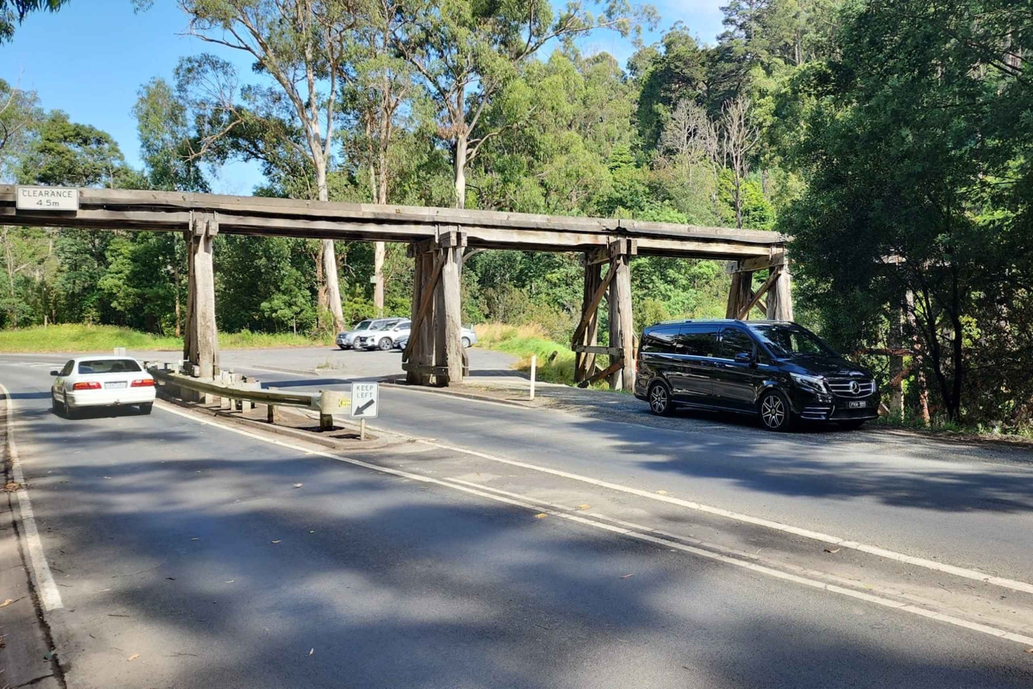Из Мельбурна: Частная экскурсия в Паффинг Билли - до 11 человек