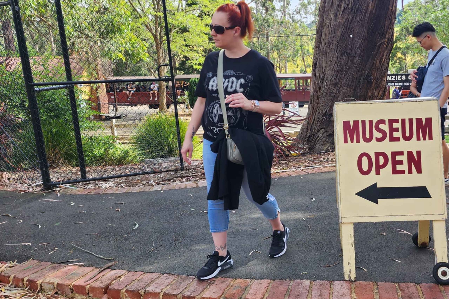 Из Мельбурна: Частная экскурсия в Паффинг Билли - до 11 человек