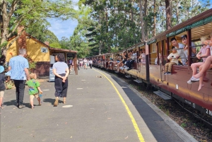 Из Мельбурна: Частная экскурсия в Паффинг Билли - до 11 человек