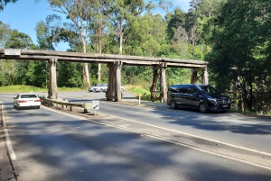 Из Мельбурна: Частная экскурсия в Паффинг Билли - до 11 человек