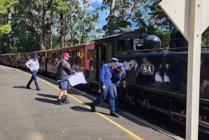 Из Мельбурна: Частная экскурсия в Паффинг Билли - до 11 человек
