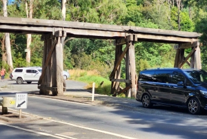 Из Мельбурна: Частная экскурсия в Паффинг Билли - до 11 человек