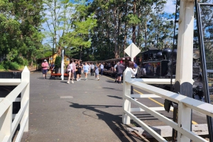 Из Мельбурна: Частная экскурсия в Паффинг Билли - до 11 человек