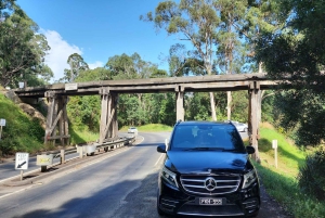 Из Мельбурна: Частная экскурсия в Паффинг Билли - до 11 человек