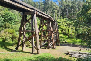 Из Мельбурна: Частная экскурсия в Паффинг Билли - до 11 человек