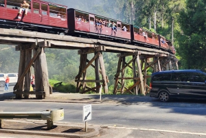 Из Мельбурна: Частная экскурсия в Паффинг Билли - до 11 человек