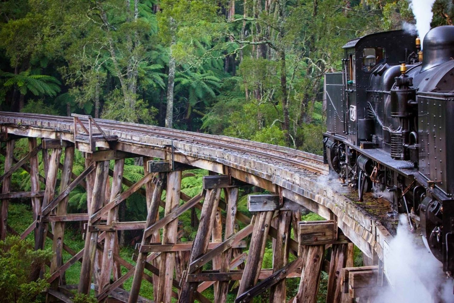 Melbourne: Private Puffing Billy Steam Train Ride