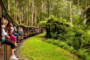 Melbourne: Private Puffing Billy Steam Train Ride