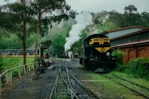 Melbourne: Private Puffing Billy Steam Train Ride