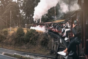 Melbourne: Private Puffing Billy Steam Train Ride