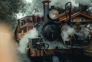 Melbourne: Private Puffing Billy Steam Train Ride