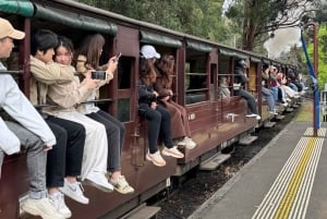 Melbourne: Private Puffing Billy Steam Train Ride