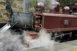 Melbourne: Private Puffing Billy Steam Train Ride