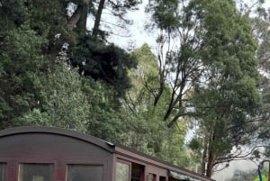 Melbourne: Private Puffing Billy Steam Train Ride