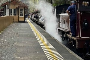 Melbourne: Private Puffing Billy Steam Train Ride