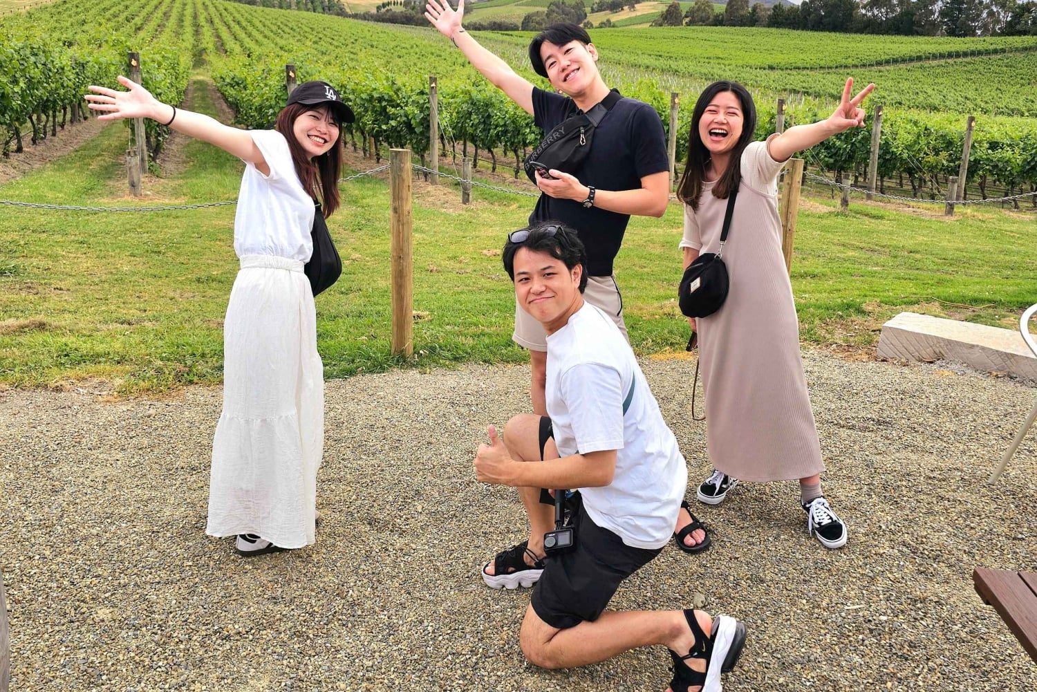 Da Melbourne: tour della foresta di sequoie e della Yarra Valley