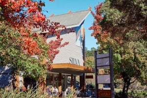 Da Melbourne: tour della foresta di sequoie e della Yarra Valley