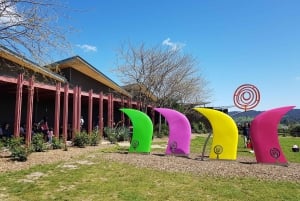 Da Melbourne: tour della foresta di sequoie e della Yarra Valley