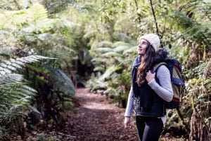 Da Melbourne: Gita di un giorno sulla Great Ocean Road inversa con pranzo