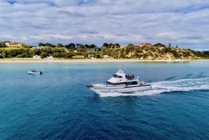 From Melbourne: Seals & Dolphins Snorkeling Cruise w/ Lunch