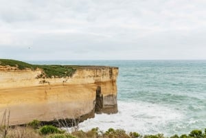 From Melbourne: Small-Group Great Ocean Road Day Trip