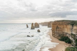 Från Melbourne: Dagsutflykt till Great Ocean Road för en liten grupp