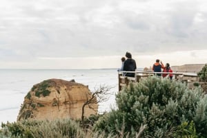 Från Melbourne: Dagsutflykt till Great Ocean Road för en liten grupp