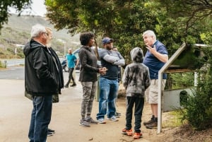 Från Melbourne: Dagsutflykt till Great Ocean Road för en liten grupp